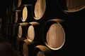 Os vinhos do Porto velhinhos mas cheios de genica