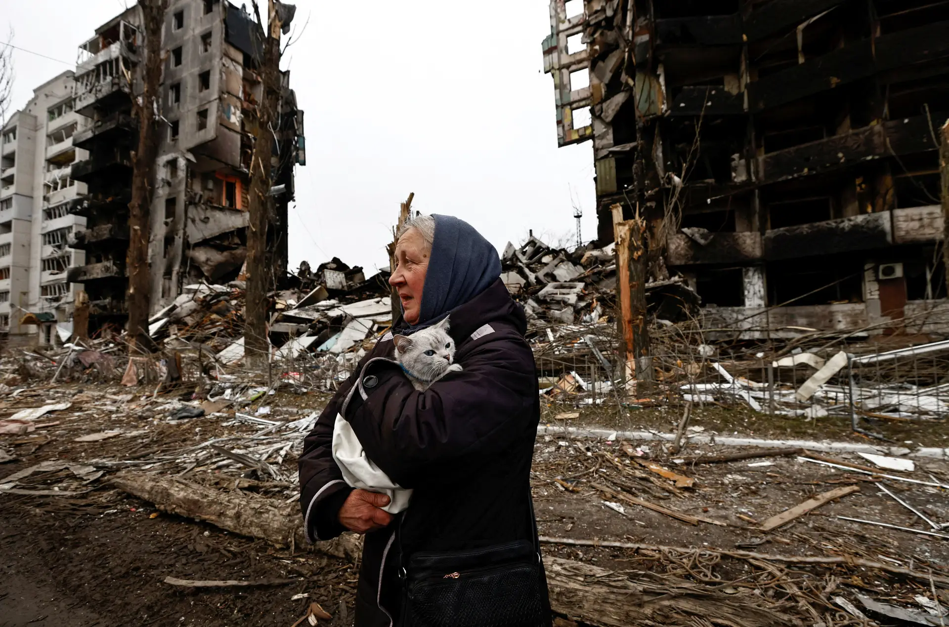 Ucrânia: Amnistia Internacional alerta para "impacto desproporcionado" da guerra sobre idosos