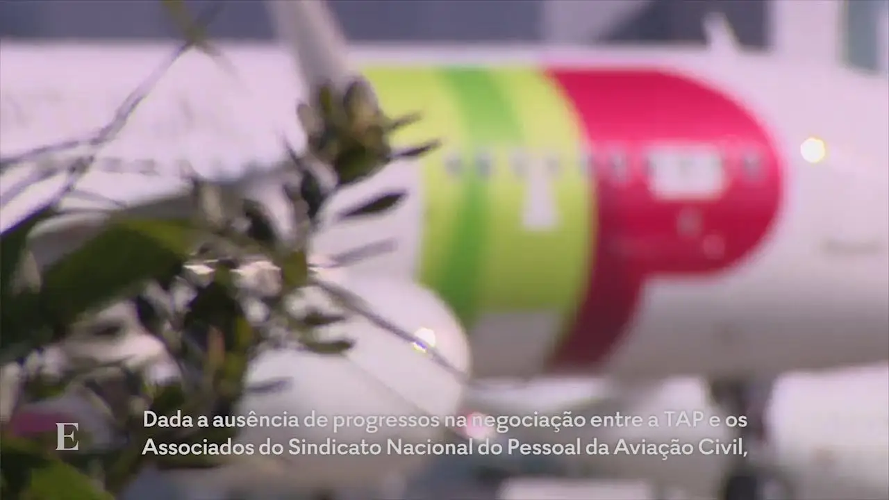 TAP está a recrutar pilotos e tem de ir à Portugália contratar os que saíram para evitar despedimento na reestruturação