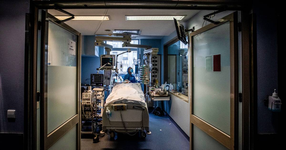 Crise na saúde. Médicos rejeitam especialidade pilar das urgências