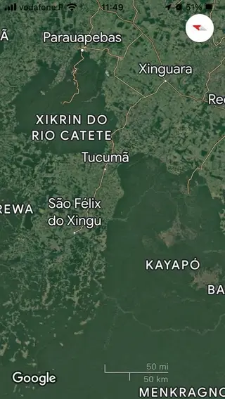 Figura 1: Imagem satélite das Terras Indígenas Xikrin do Kateté e Kayapó, exemplificando o contraste entre a densidade da floresta dentro das Terras Indígenas (em verde escuro) e fora dessas fronteiras sem remanescentes de floresta (fonte:Google Earth). 