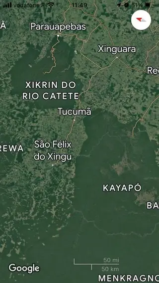 Figura 1: Imagem satélite das Terras Indígenas Xikrin do Kateté e Kayapó, exemplificando o contraste entre a densidade da floresta dentro das Terras Indígenas (em verde escuro) e fora dessas fronteiras sem remanescentes de floresta (fonte:Google Earth).