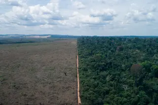 Figura 2: Fotografia aérea: do lado esquerdo (na linha que diferencia a terra desmatada e a floresta) uma terra privada e do lado direito a Terra Indígena Mebengokre (Kayapó) – Fonte WWF, Brasil (https://www.wwf.org.br/?81588/Com-tecnologia-povo-Kayapo-Mbengokre-tenta-barrar-devastacao-da-Amazonia)