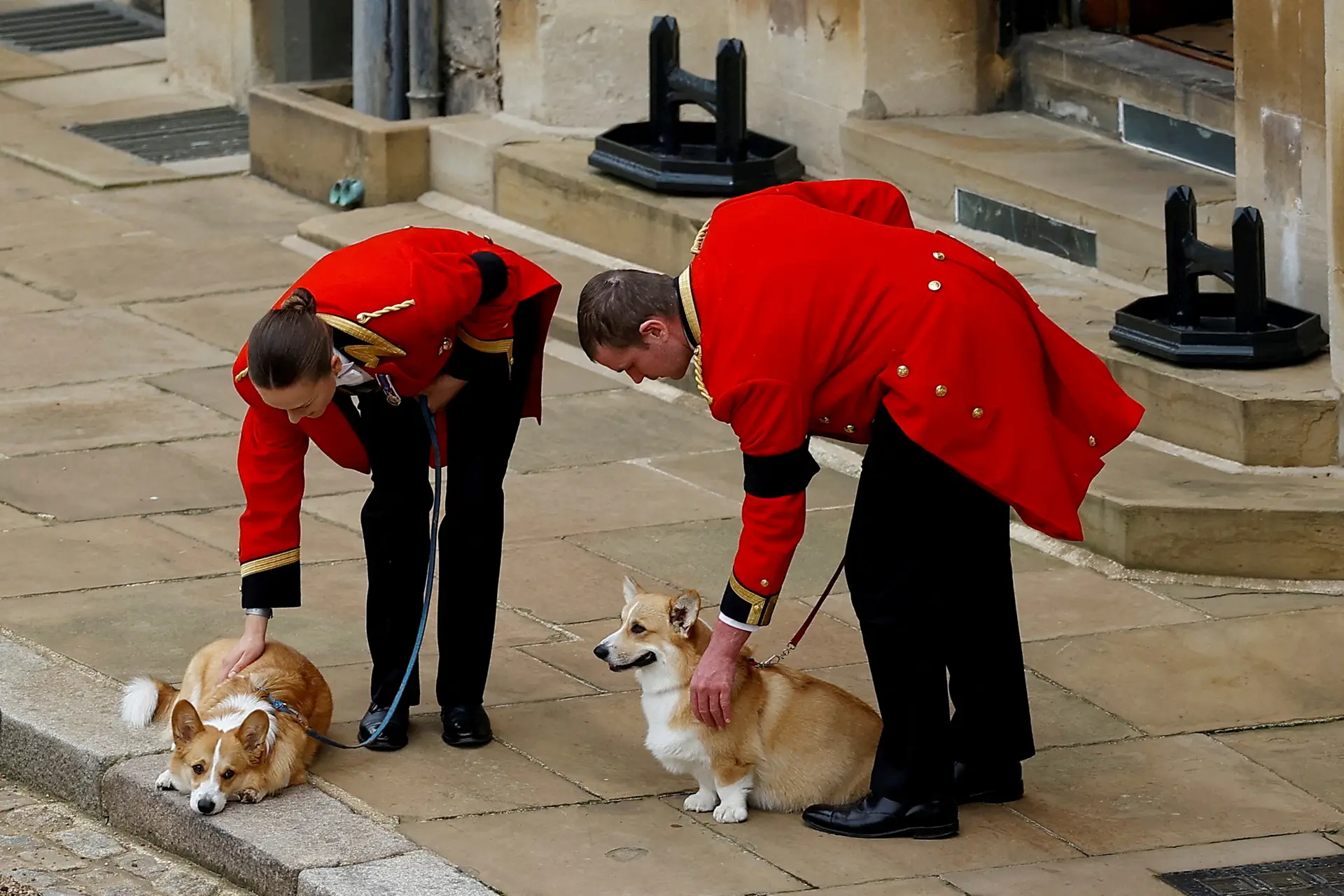 SAUDADE. Dois corgis, a raça de cães preferida de Isabel II, despedem-se da rainha de Inglaterra à passagem do seu féretro