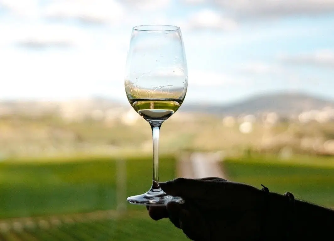 Vinho português à beira de bater recorde nas exportações