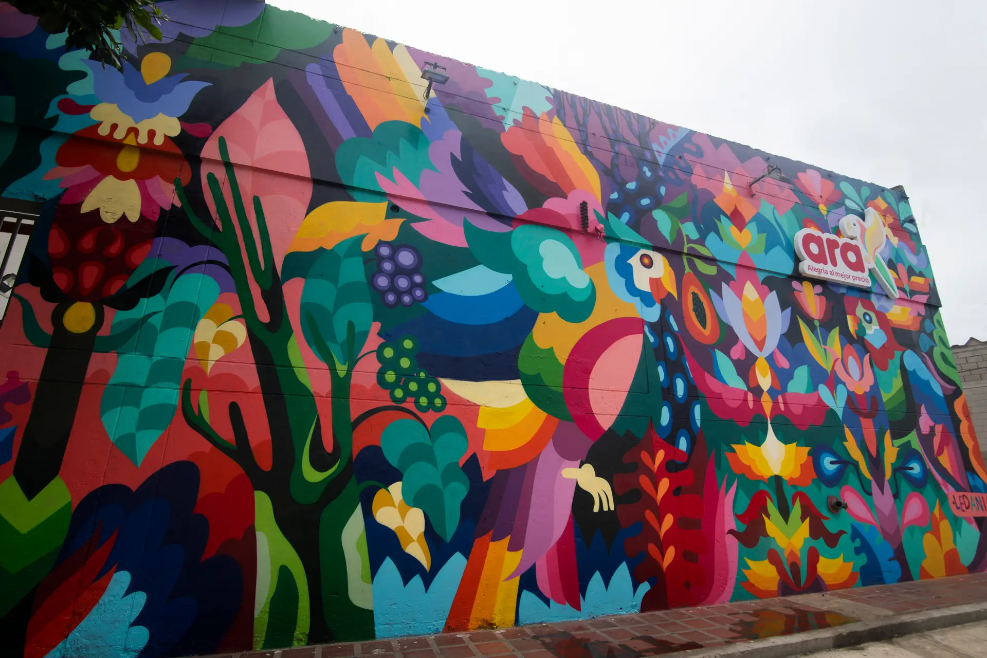 Mural de Ledania na Loja Ara de Barranquilla