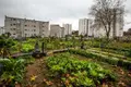 Maia requalifica mais de 500 casas em bairro social e aposta no espaço público