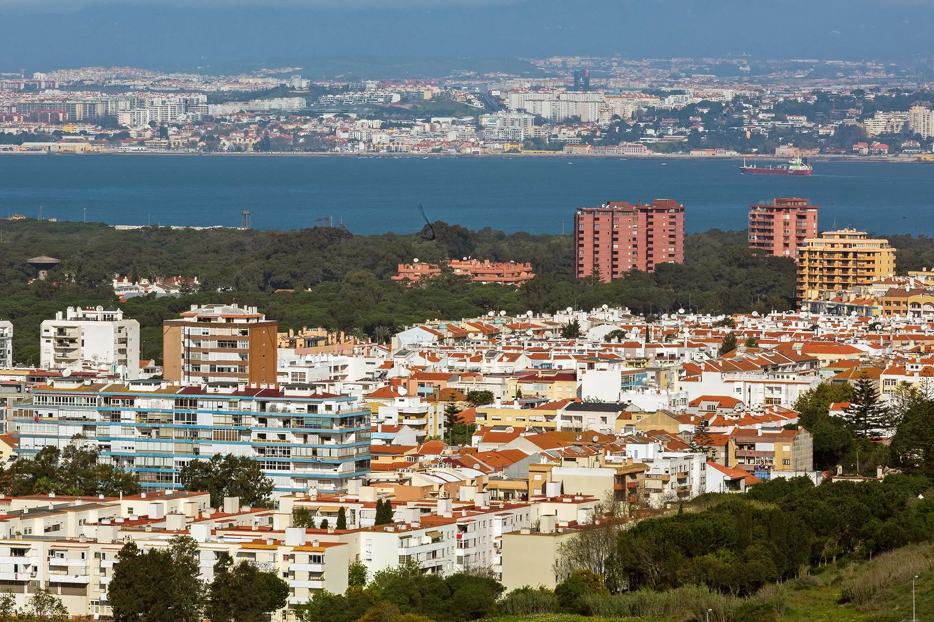 Imobiliário: vendas de casas caem 12% até novembro