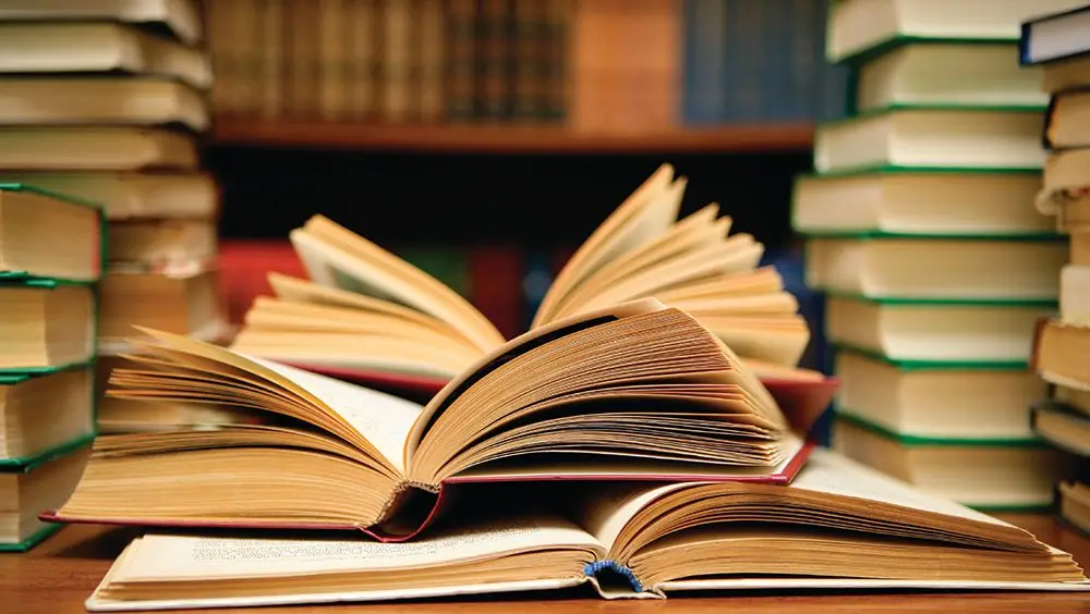Os livros de 2023: desde o único romance de Silvina Ocampo, ao Nobel Toni Morrison