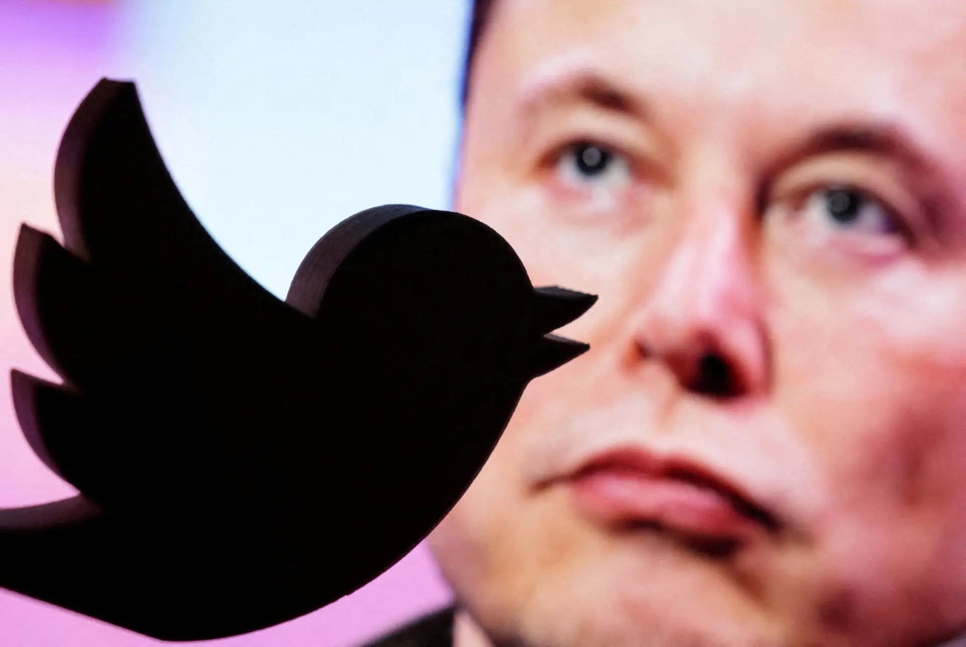 "Devo abandonar a liderança" do Twitter? Quase 60% responde "sim" a Musk