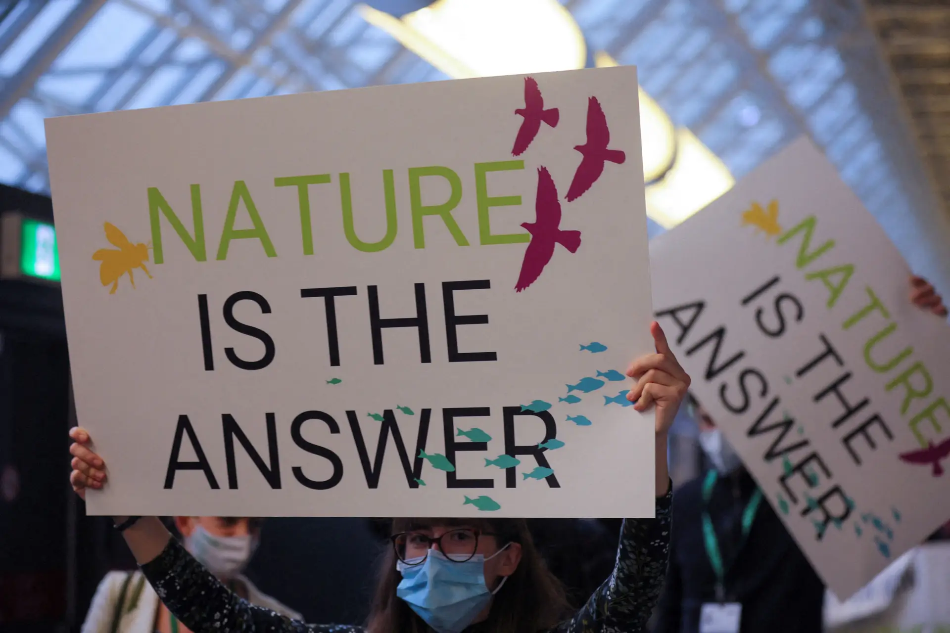 COP15: alcançado acordo histórico para proteger 30% do planeta