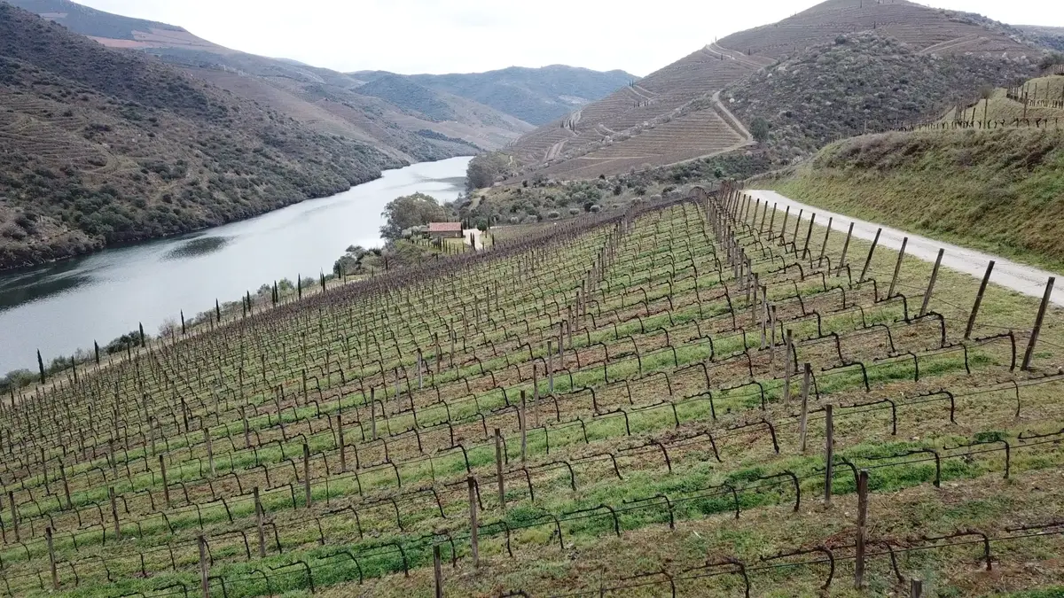 Douro Superior