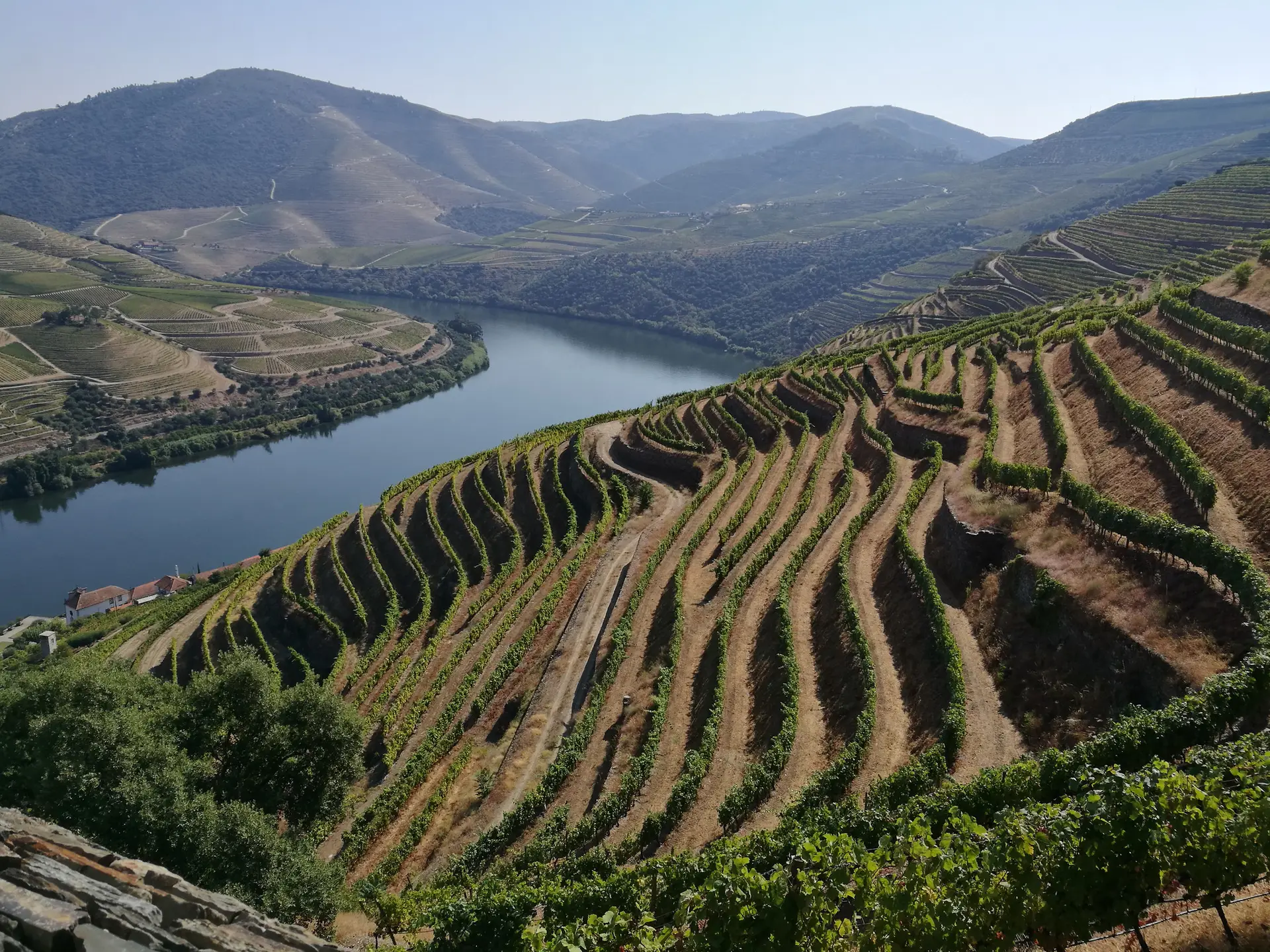 Em passeio pelo Côa, entre vinhos, gastronomia e gravuras (VÍDEO)