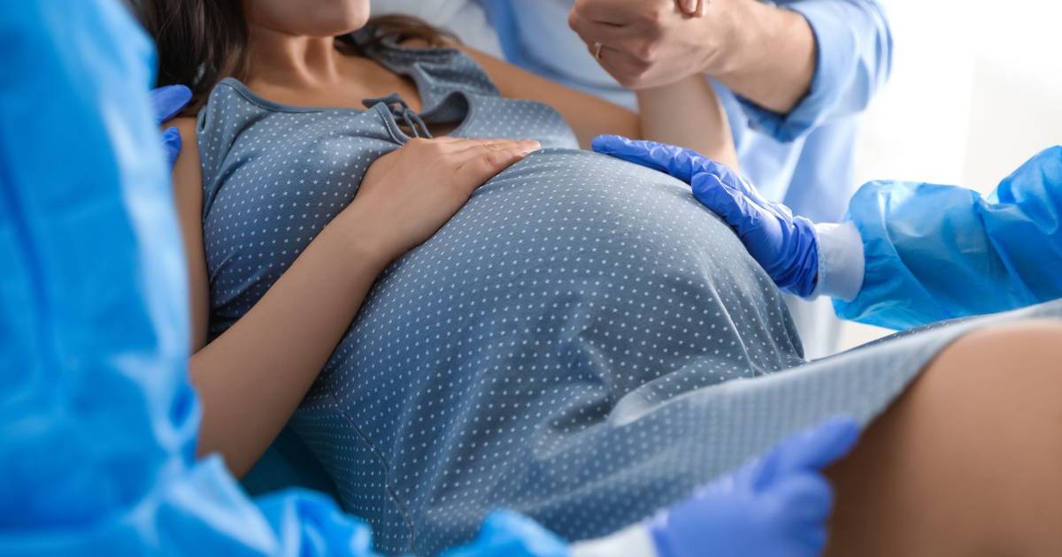 Ordem dos Médicos diz desconhecer nova proposta sobre Obstetrícia e Ginecologia