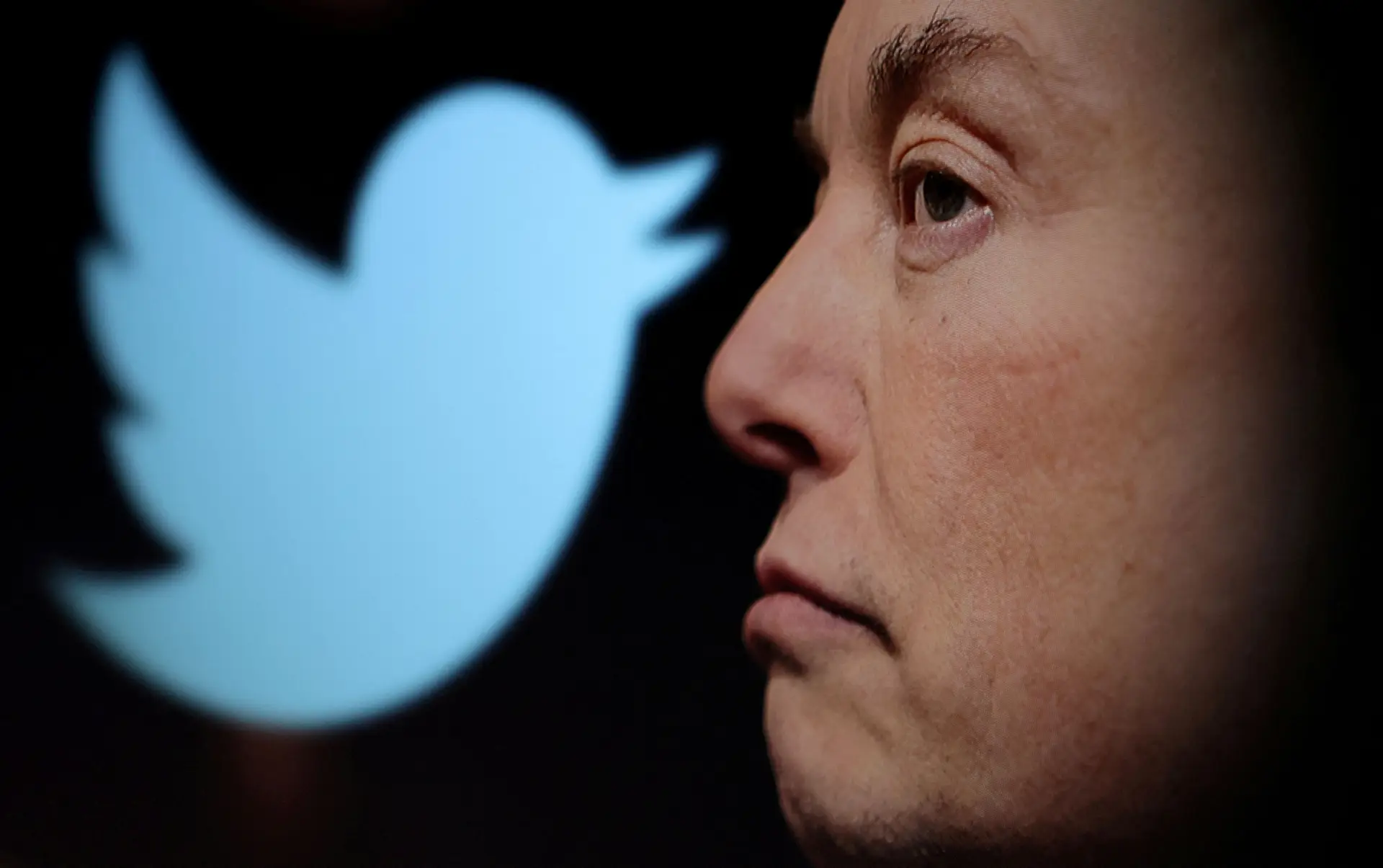 "Limite excedido": Twitter soma falhas e queixas à medida que Elon Musk faz ajustes no número de leituras permitidas