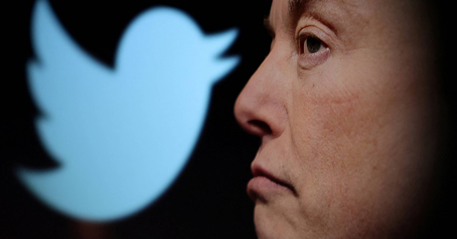 Bye Bluebird: Musk Changes Twitter Icon to Dogecoin Cryptocurrency Dog