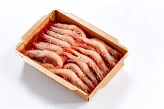 Gamba do Algarve