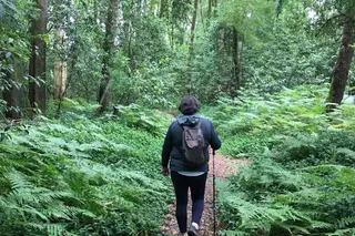 O melhor da natureza em festa no Alto Minho