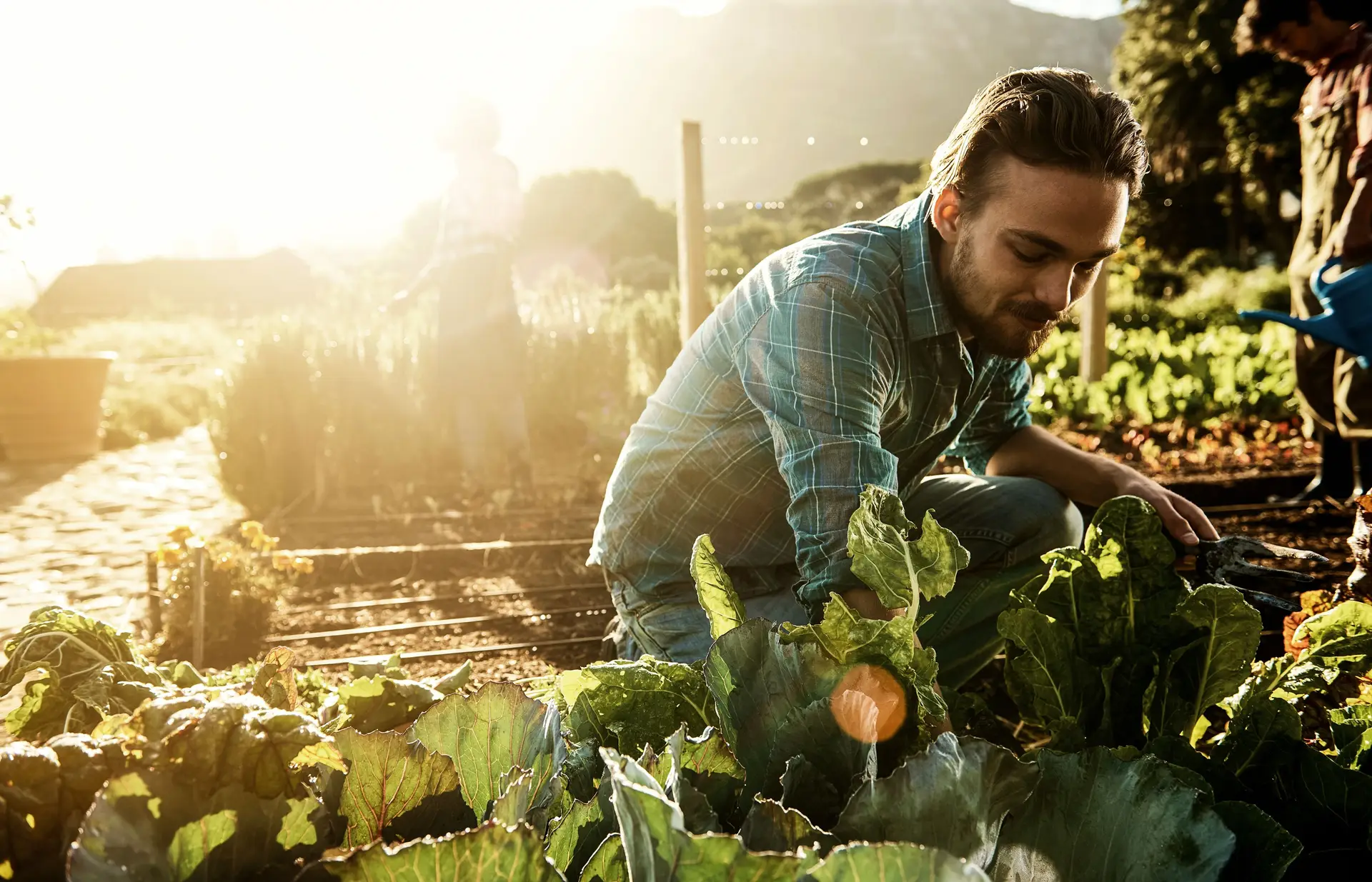 Em Portugal, a média é de três agricultores com menos de 35 anos por cada 20 com idade acima de 55