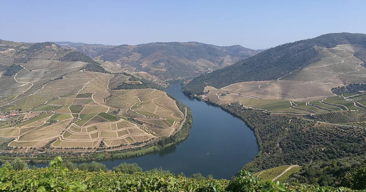 Vinhos do Porto e do Douro atingem vendas de 606 milhões de euros em 2022, apesar de quebras significativas do mercado inglês