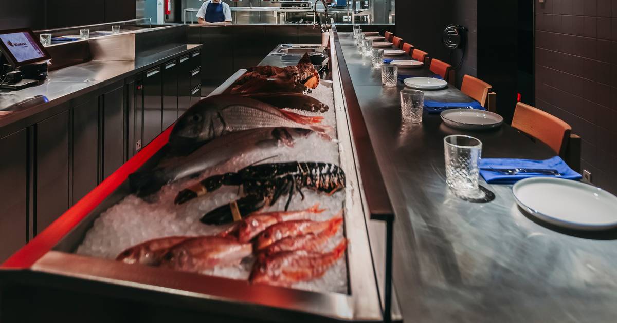 Entre peixes e mariscos, novo restaurante em Lisboa recria o ambiente de uma lota