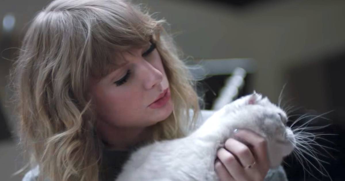 Seis zeros muito fofinhos: quanto vale a gata de Taylor Swift?