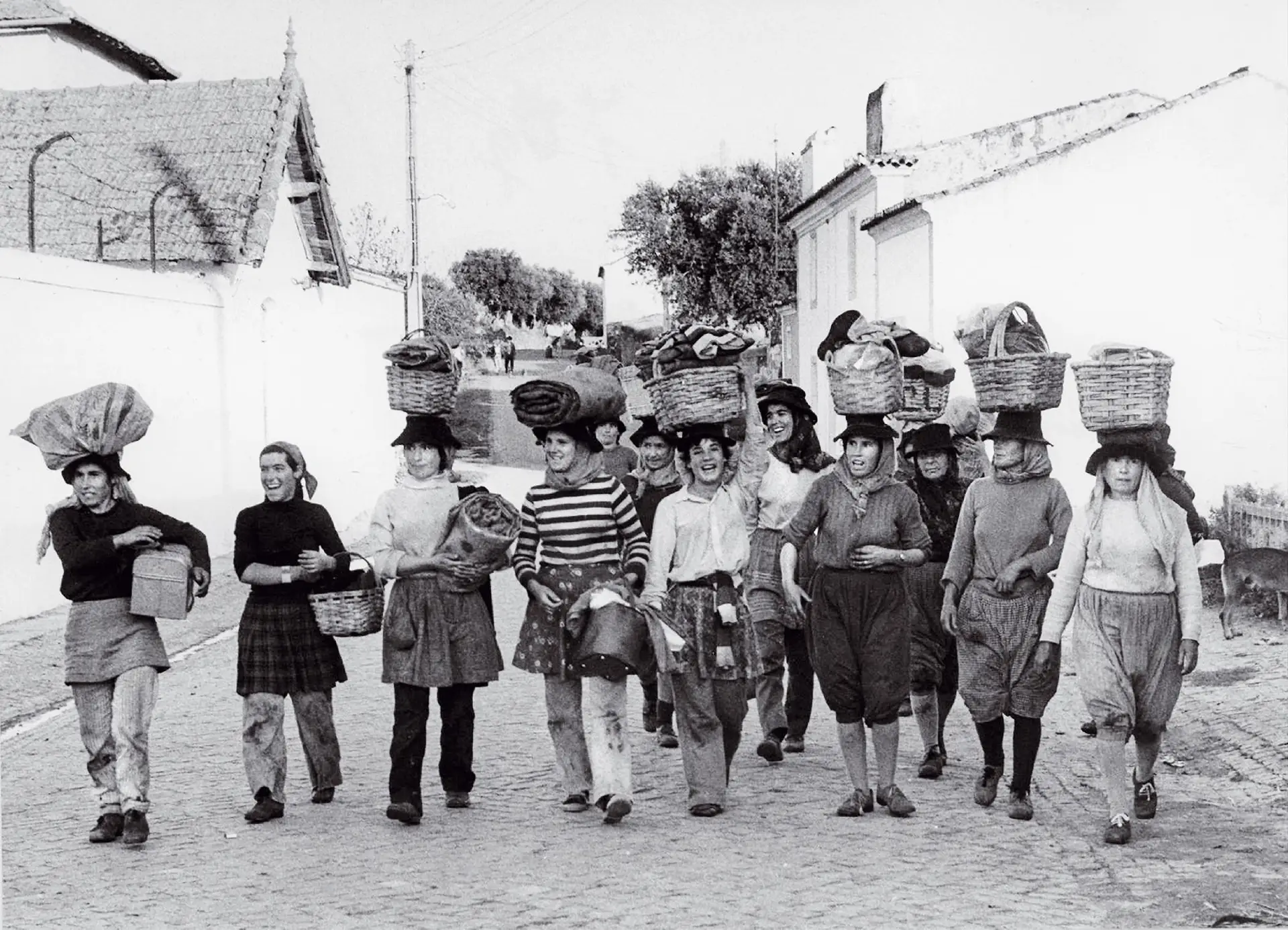 Portugal era uma das lebres da Europa nos anos 70, hoje é uma tartaruga