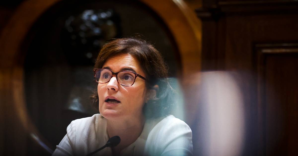 Questionário para governantes não é nenhum teste eliminatório, reforça Mariana Vieira da Silva