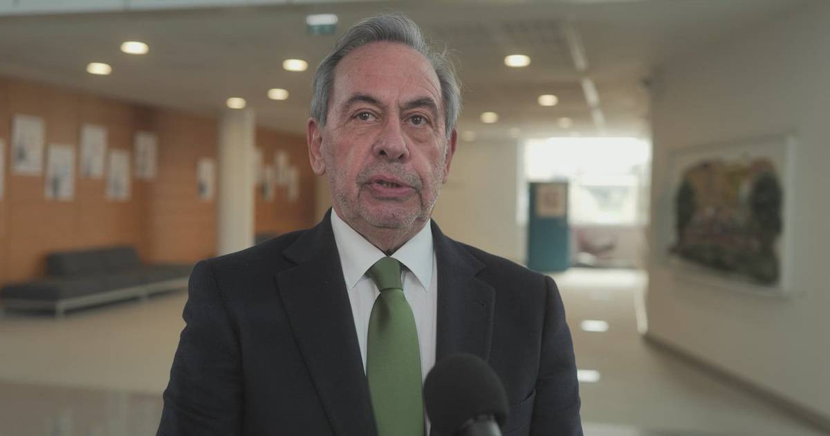 Nova escolha de coordenador para estrutura de missão das renováveis é "ofensa à engenharia nacional", critica ex-bastonário dos engenheiros