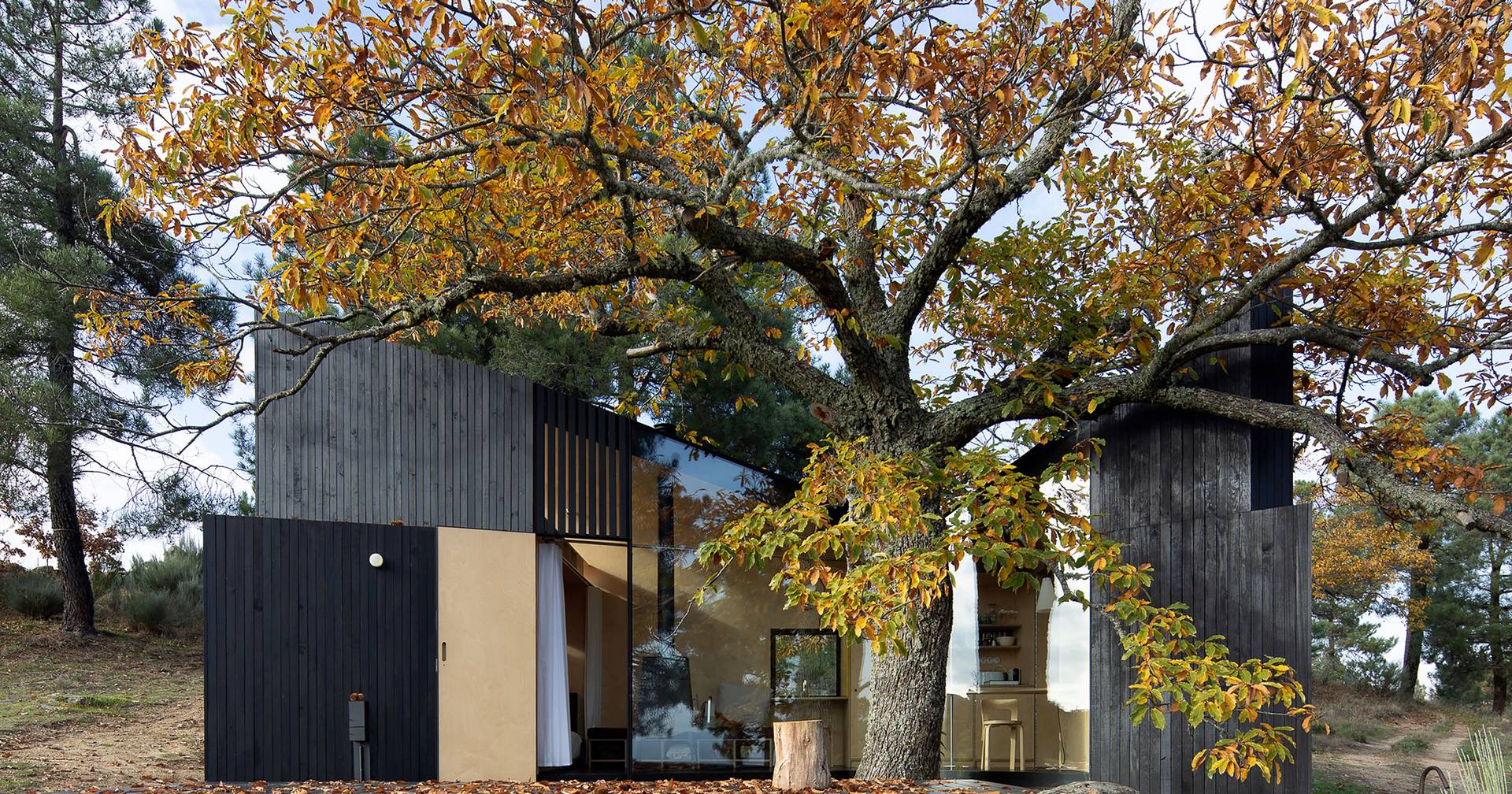 La nouvelle tendance des cabanes dans les arbres