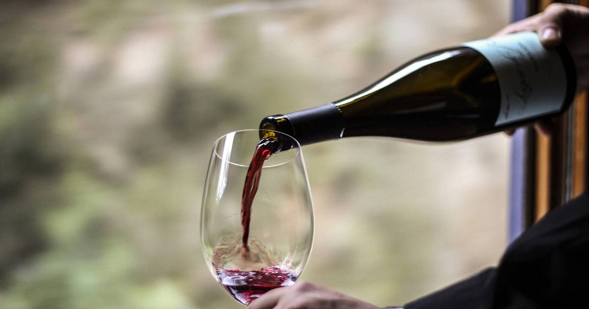 Hoje é (pela primeira vez) Dia Nacional da Vinha e do Vinho