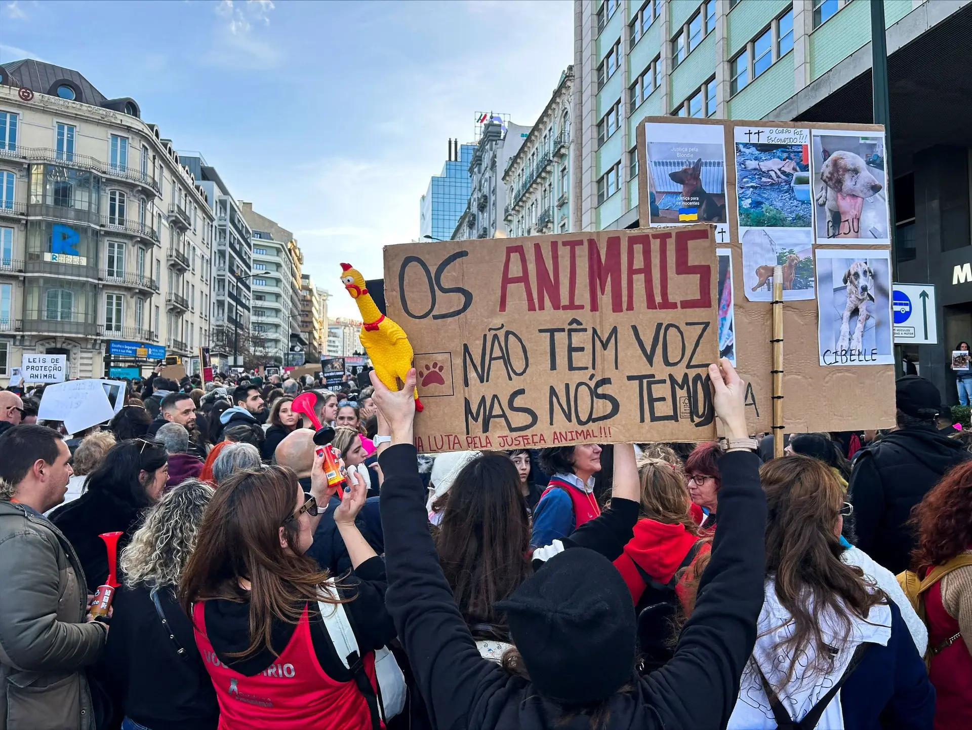 “Justiça para animais, queremos mais”: manifestação junta milhares em Lisboa contra inconstitucionalidade de lei protetora dos animais