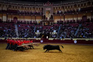 A Sagres dá nome ao Campo Pequeno, mas não patrocina as touradas - E agora, elas vão continuar? Sim, mas serão poucas