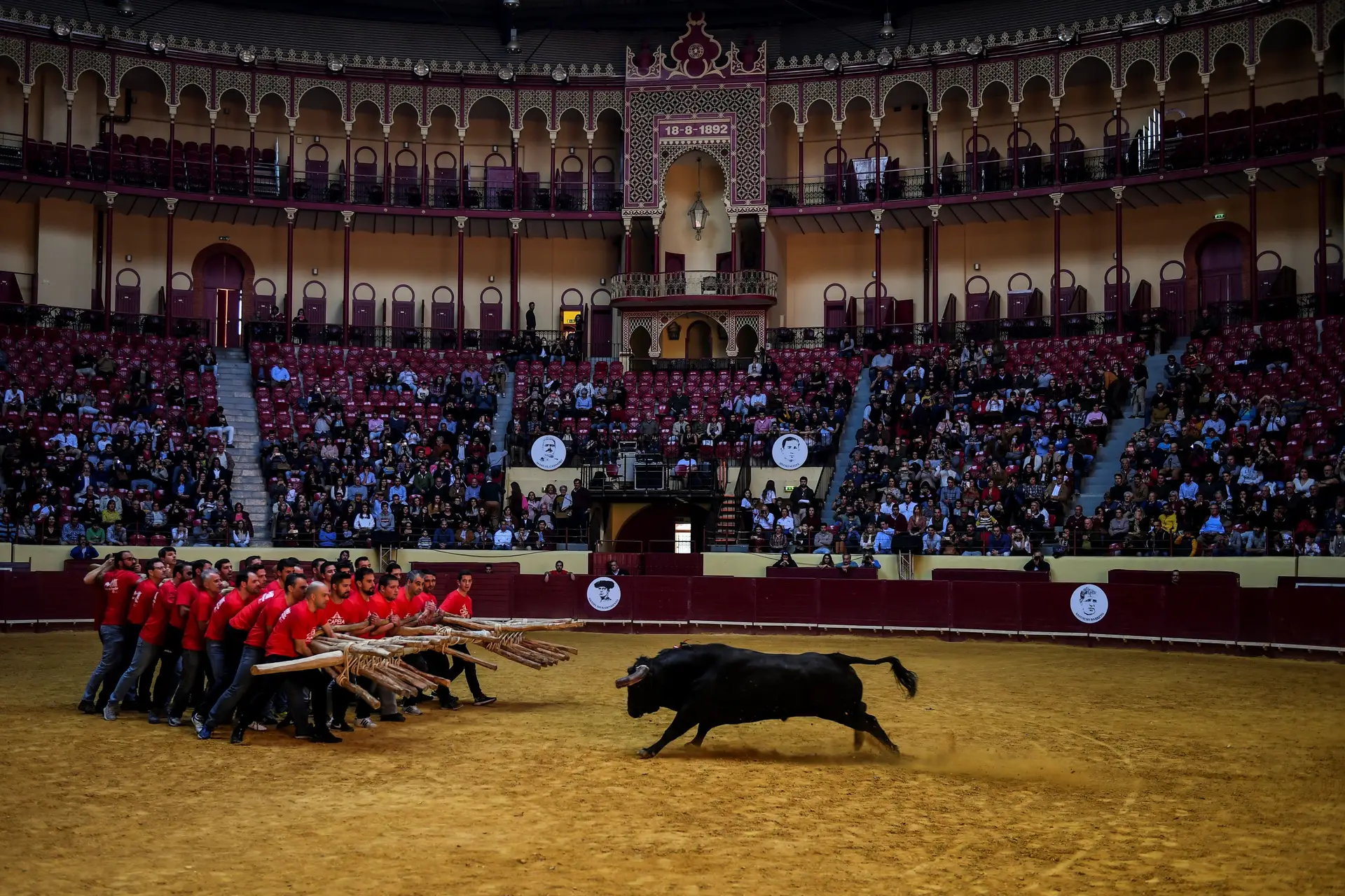 A Sagres dá nome ao Campo Pequeno, mas não patrocina as touradas - E agora, elas vão continuar? Sim, mas serão poucas