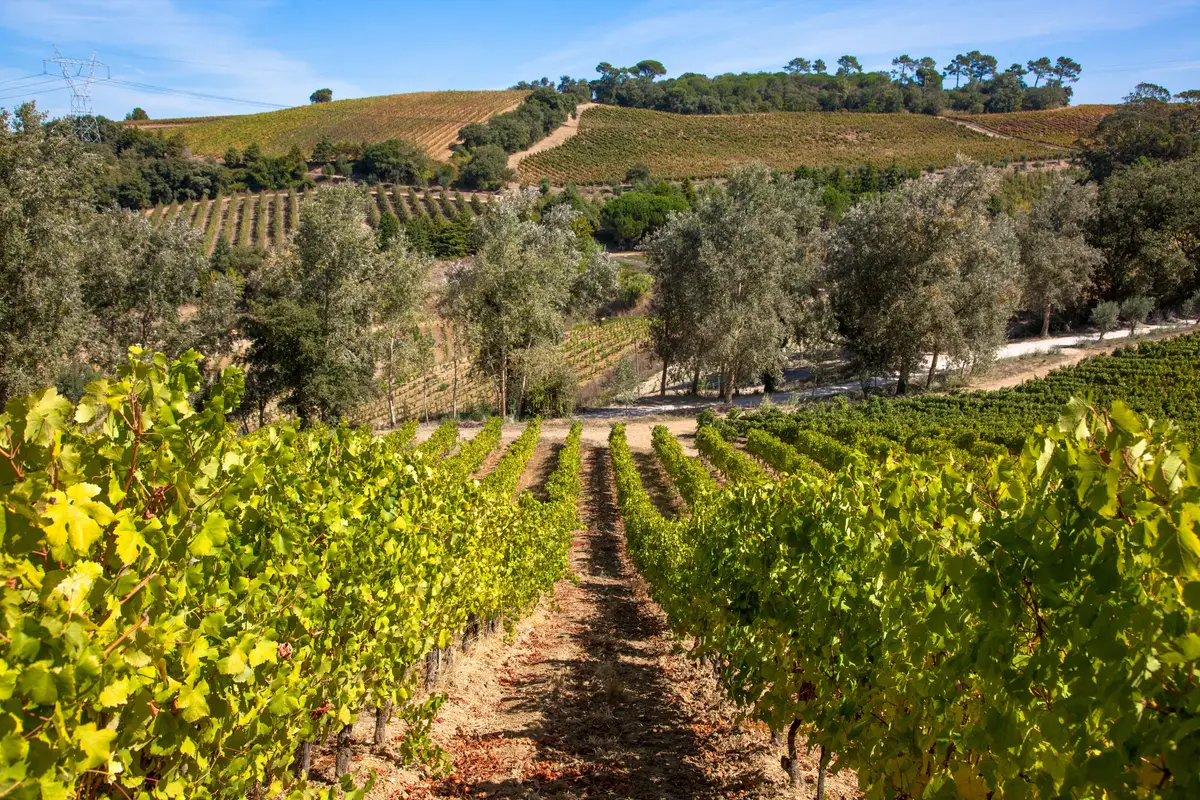 Quinta de Chocapalha