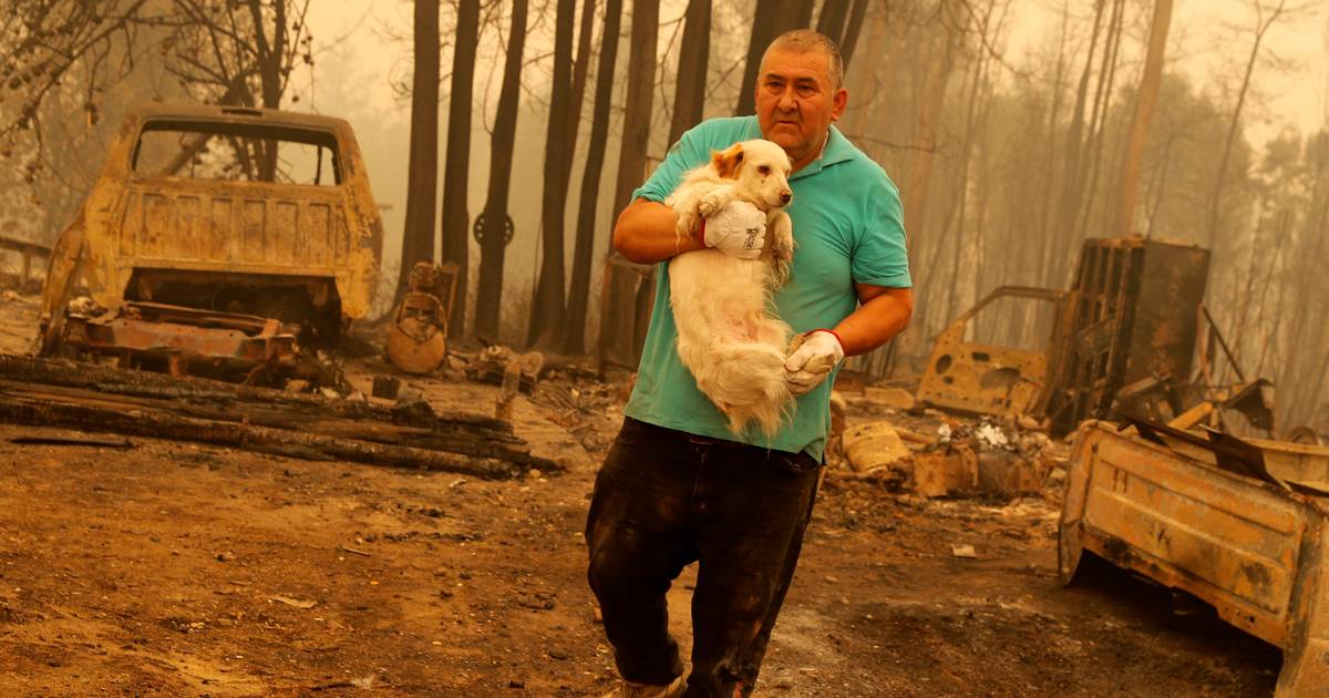 Autoridades do Chile detêm 10 pessoas e elevam para 24 número de mortos nos incêndios