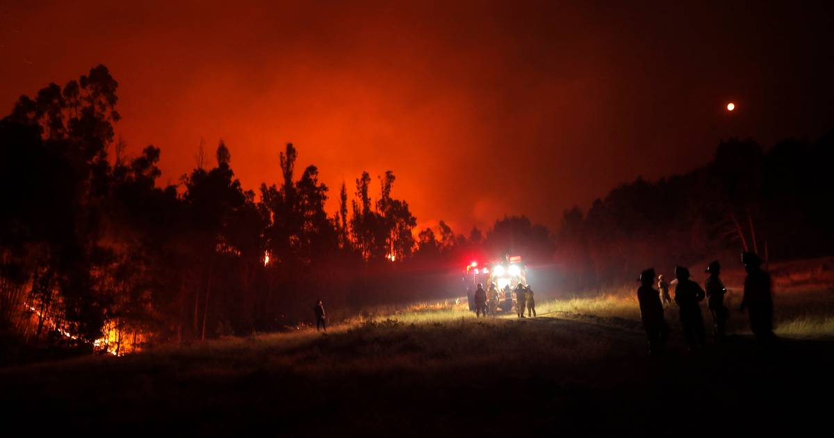 Centro do Chile enfrenta quase 100 incêndios florestais por controlar