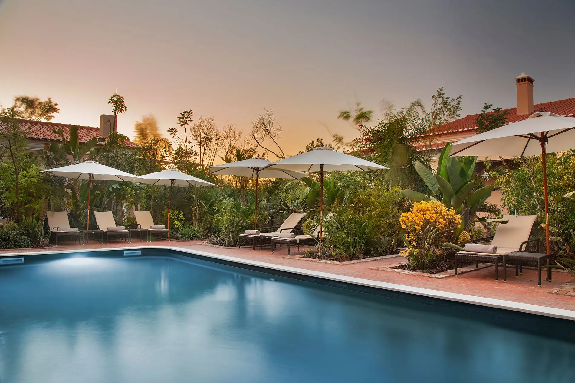 Neste novo eco resort de Salvaterra de Magos há um jardim tropical com nenúfares e sapos