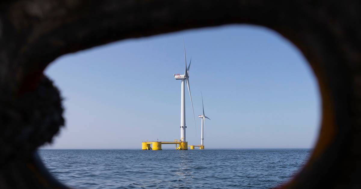 Galp alia-se à TotalEnergies para projetos de energia eólica 'offshore' em Portugal