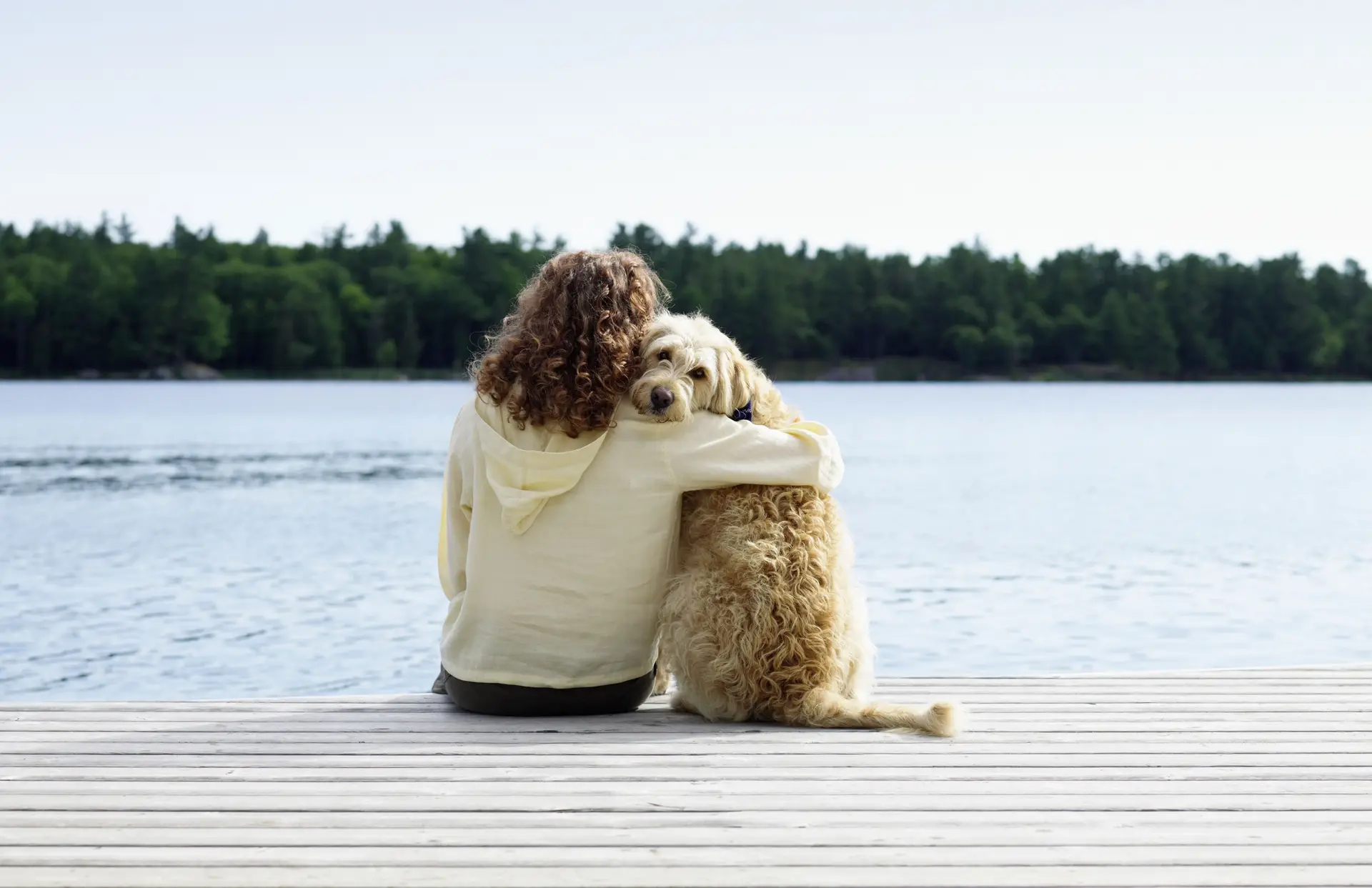 Cão mais velho do mundo tem 30 anos e é português: o “drástico” aumento da longevidade dos animais numa sociedade com “maior sensibilização”