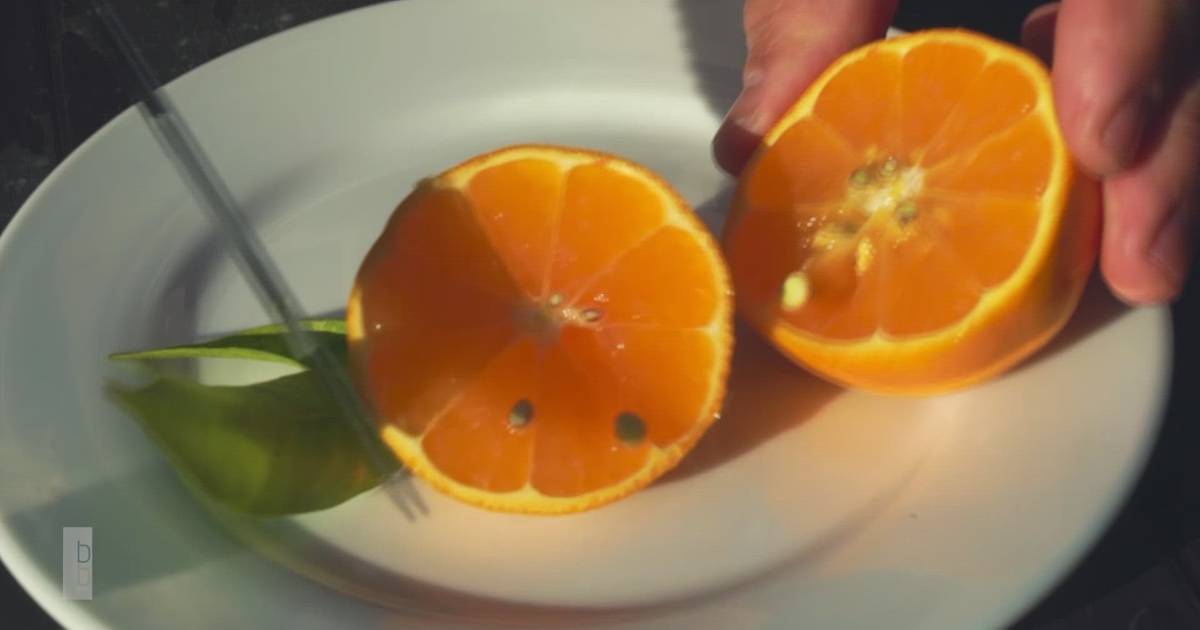 Laranja da Pala: o doce citrino que cresce todo o ano nas margens do Douro (VÍDEO)