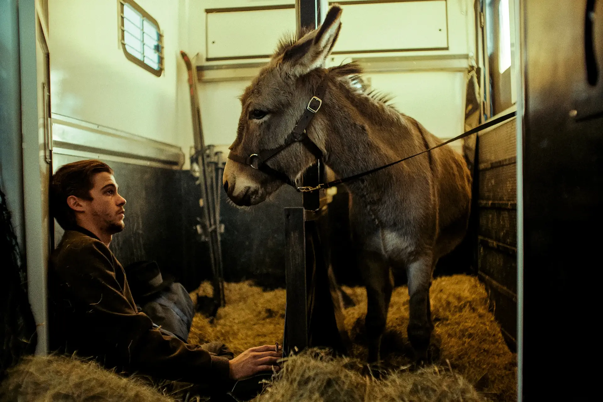 Faça como o burro