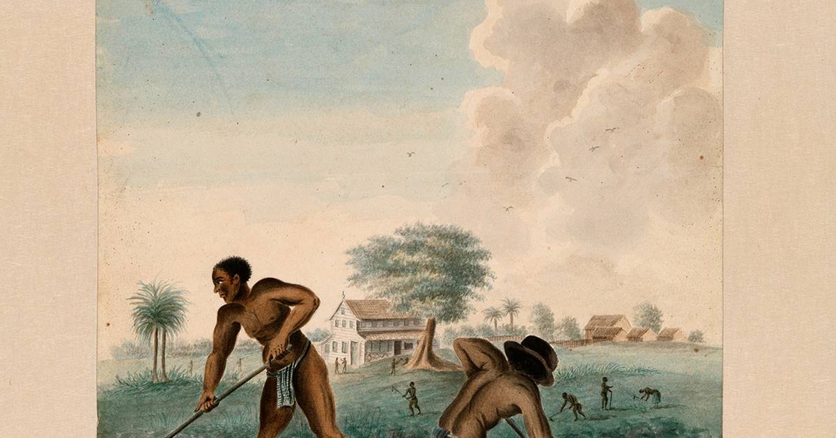 Rijksmuseum leva escravo português do século XVII para Nova Iorque. É uma das “Dez Histórias Verídicas da Escravatura Colonial Holandesa”