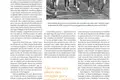 extra_38