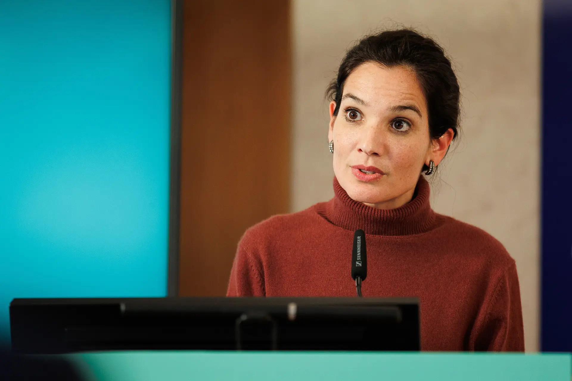 Ana Fontoura Gouveia, secretária de Estado da Energia e Clima.