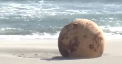 O objeto foi encontrado por uma moradora local que caminhava na praia