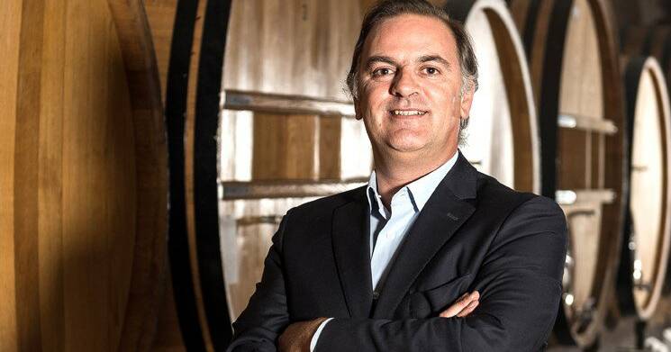 Duplicaram marcas de vinhos DOC de Portalegre no mercado em 2022, mas a falta de mão-de-obra é um problema