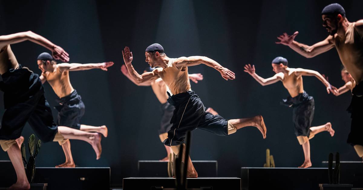 Dança: “Keersmaeker/ Lopez/ Ekman” pela Companhia Nacional de Bailado no Teatro Camões