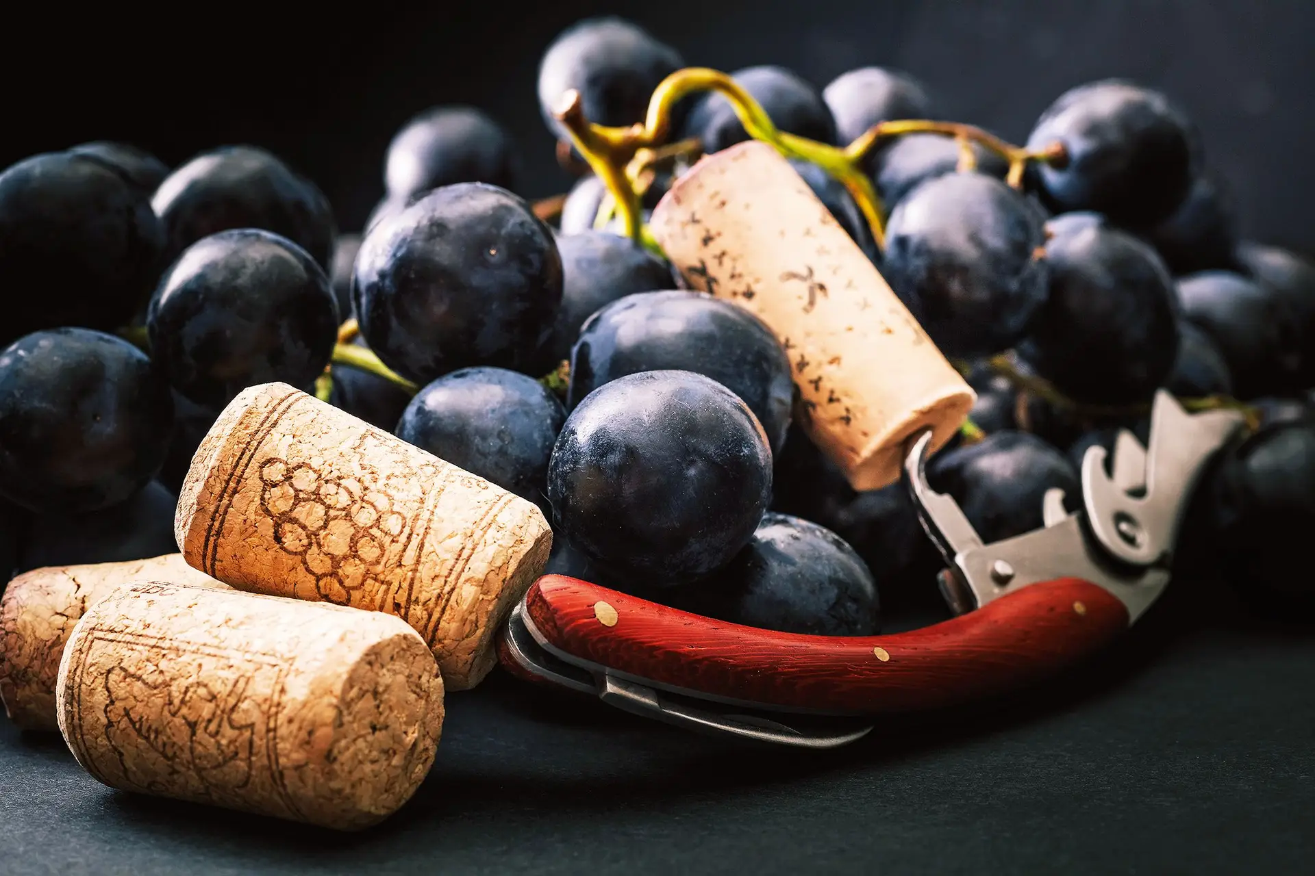 Vinhos: acreditar na calmaria do Alentejo, e naqueles que também precisam de descanso