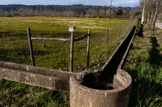 A OCDE diz que Portugal desperdiça muita água, tem estradas a mais e ferrovias a menos, mas nem tudo é mau: o uso de renováveis subiu
